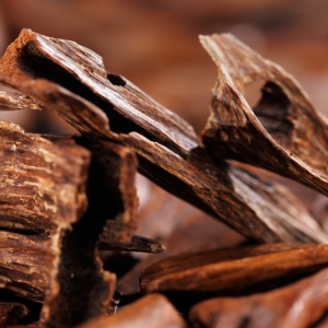 El oud: La joya de la perfumería